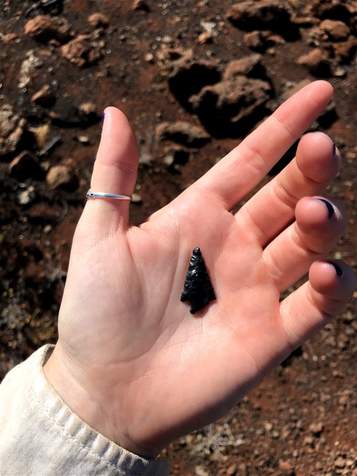 Winner: Obsidian Point