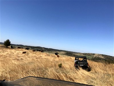 Mineral Block Seeding Karl E Mundt National Wildlife Refuge