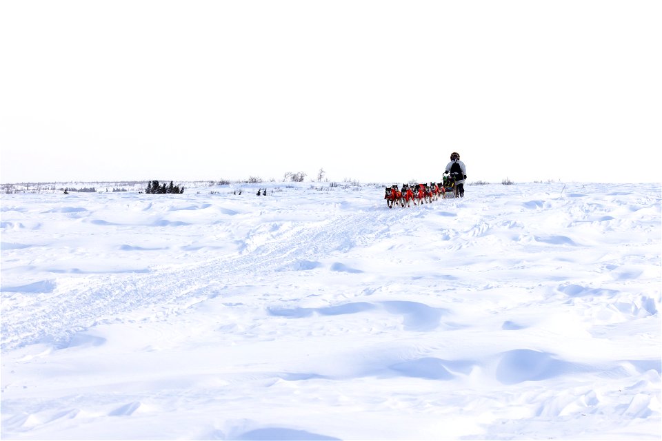 Kobuk 440 racer on the trail between the villages of Selawik and Ambler.