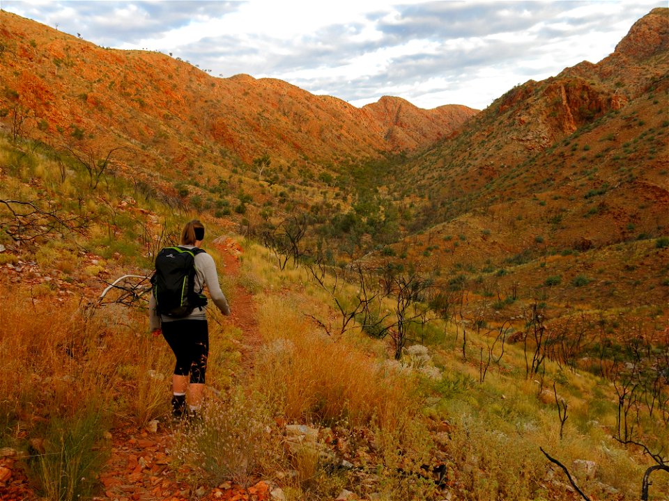 Between Stanley Chasm and Birthday Waterhole (section 4)