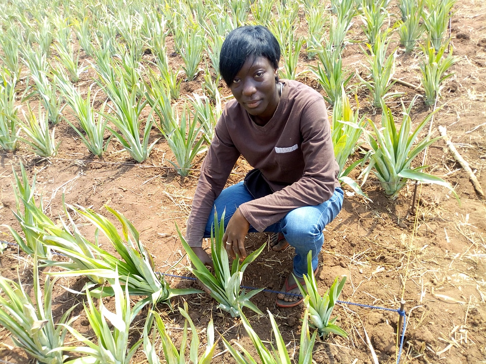 Woman people agroecology