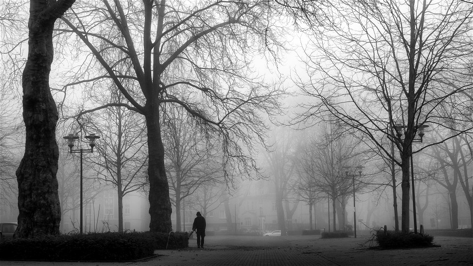 nebliger Morgen