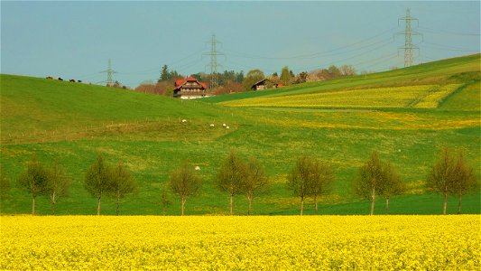 DSC09366