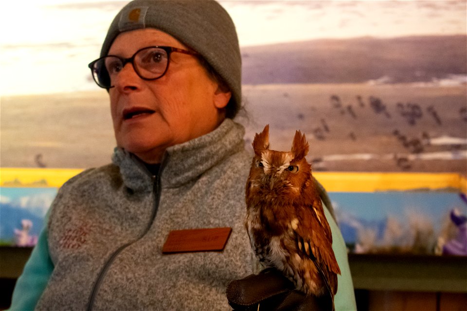 Raptors on Refuges Program at the National Elk Refuge