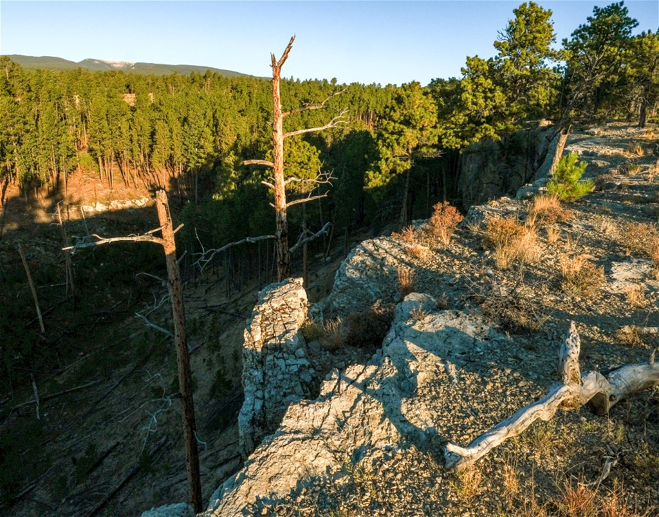 Steep, rocky cliffs with trees