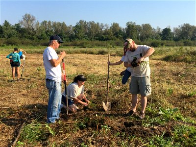 Volunteers Assist With Planting photo