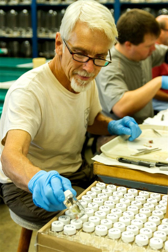Fish Lab Work
