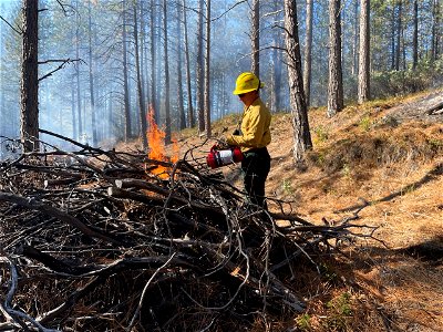 RX Burn at 'Inimim Forest