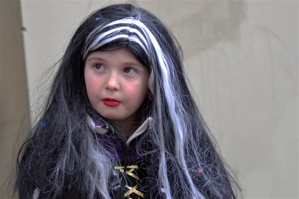 Carnaval de Berne