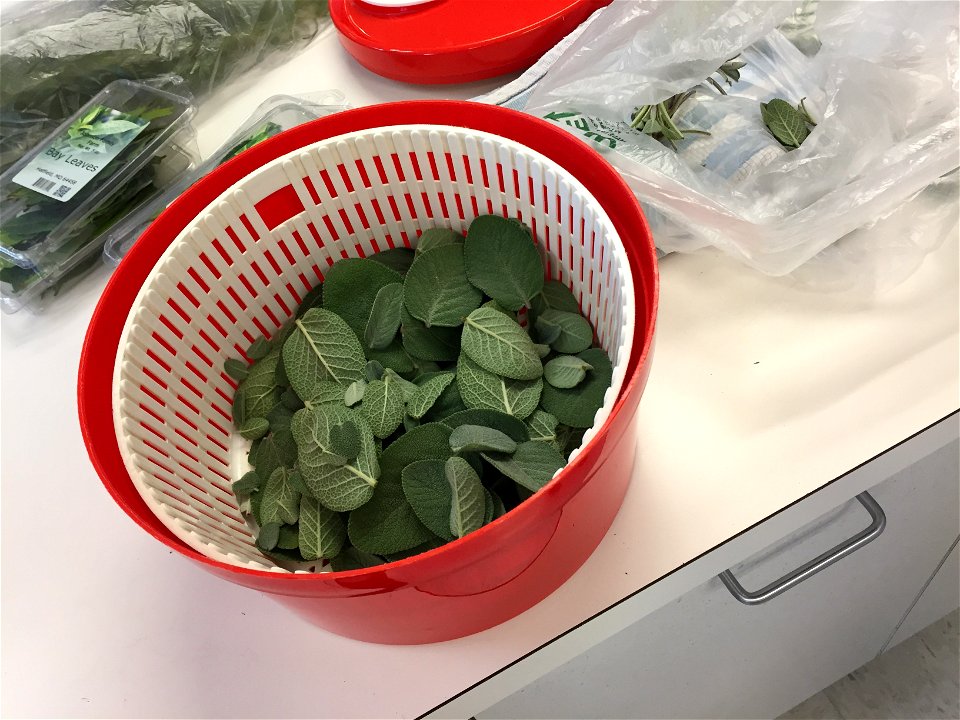 Clean fresh herbs
