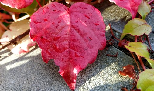 IMG_20211007_090058