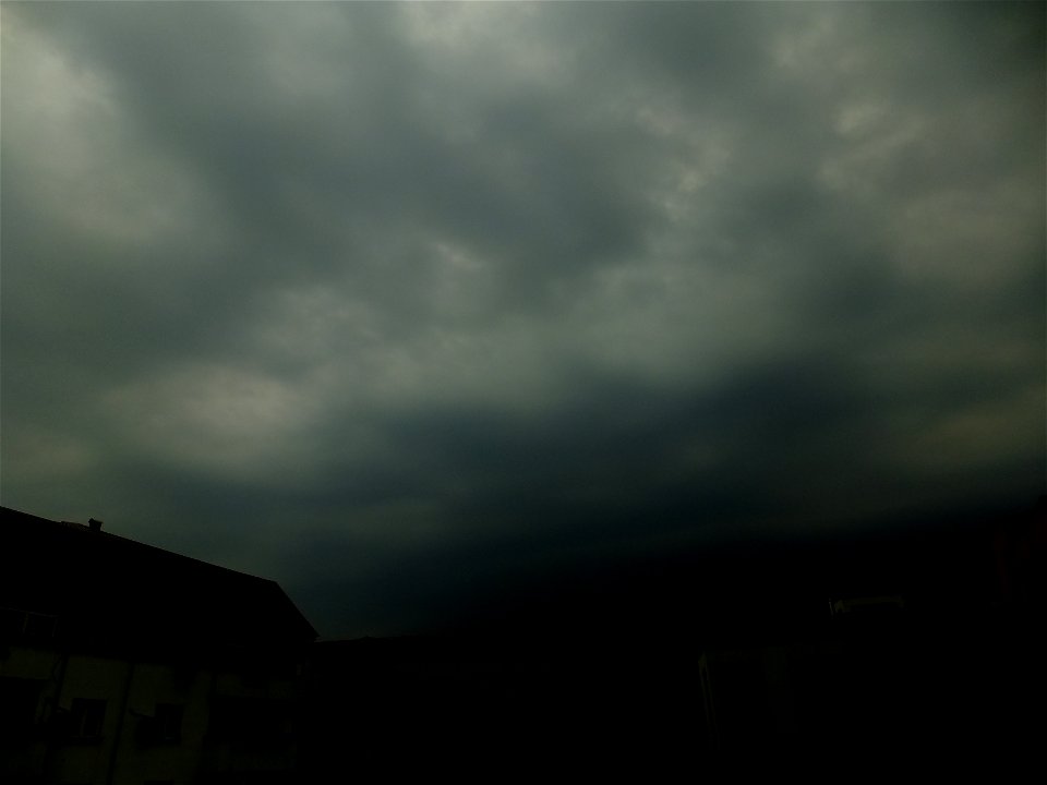 nori-sediu2015_0507_074838(1)