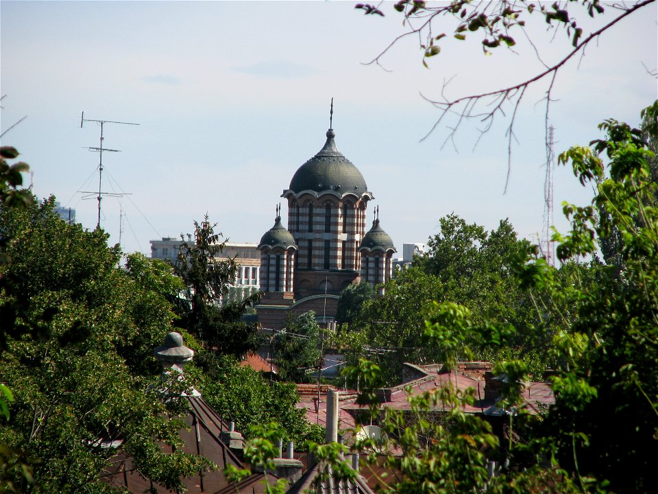 biserici Sfantul Elefterie (5)