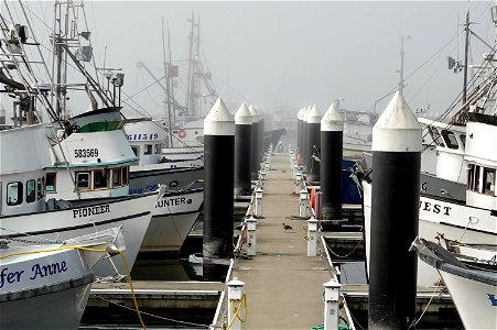 CRESCENT CITY HARBOR (09-05-2022) -03