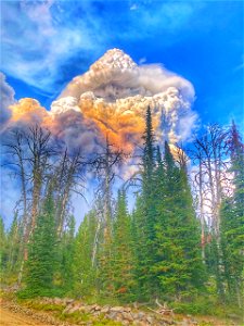 Weather Category - USFWS 2022 Photo/Video Contest