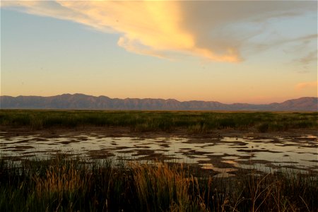 Sunset at Bear River Migratory Bird Refuge photo