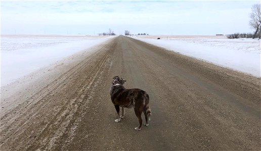 Out on the Main Road