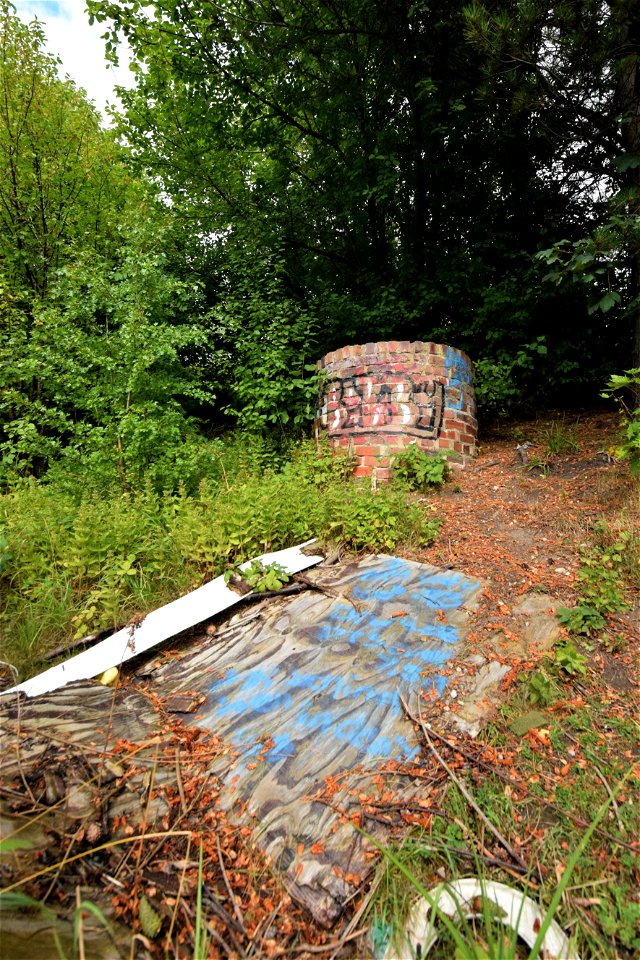 DSC_0745 (2)