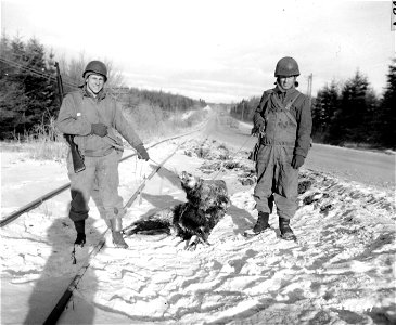 SC 336849 - Two members of the the 849th Antiaircraft Artillery, 4th Armored Division display a wild boar they shot near Bastogne, Belgium, during time off. photo