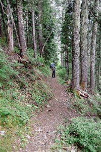 PNTA-Park Butte-Bell Pass-Mount Baker-10 photo