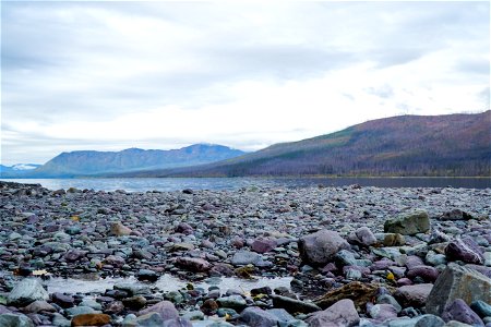 Lake McDonald Lodge Beach photo