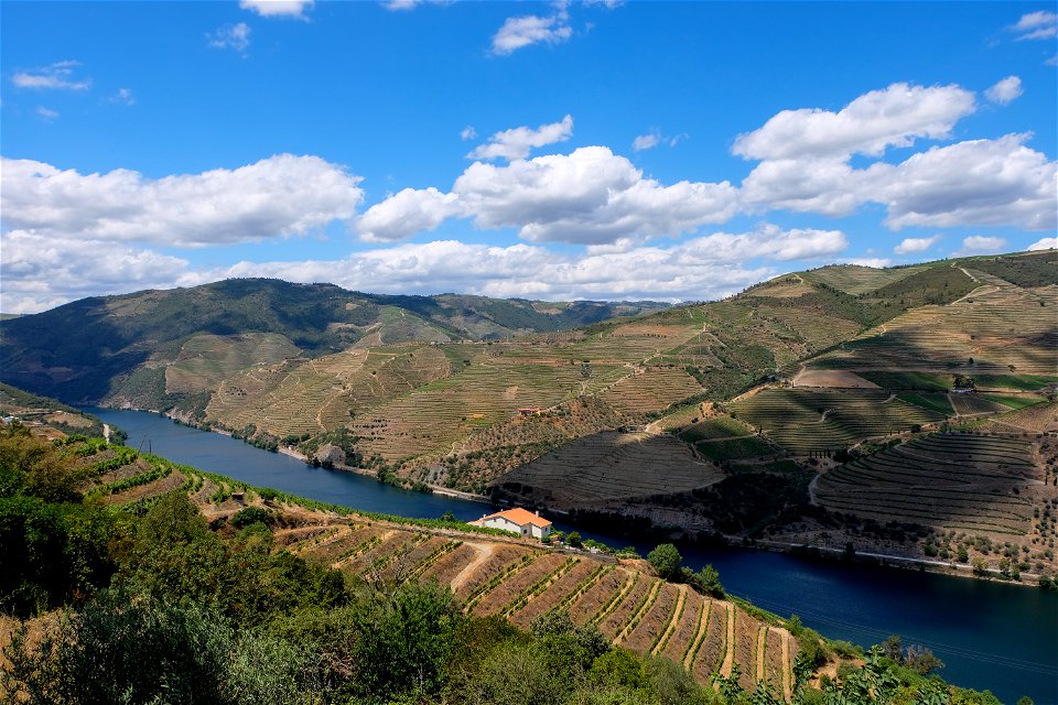 Landscape of Douro Valley photo