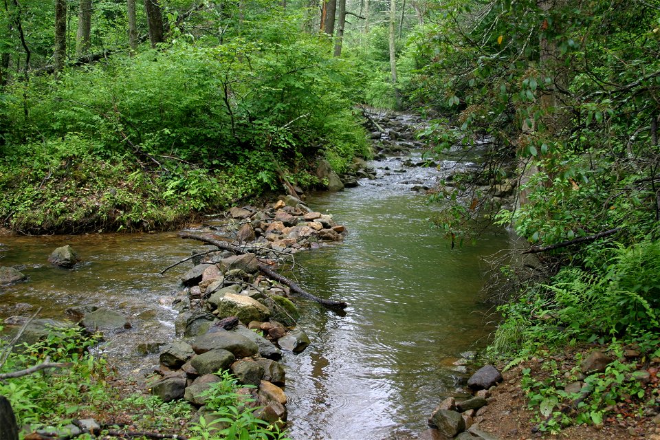 Dam near Rapidan Camp photo