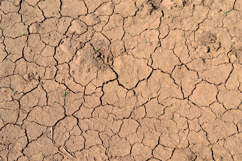 Free textures with cracks
