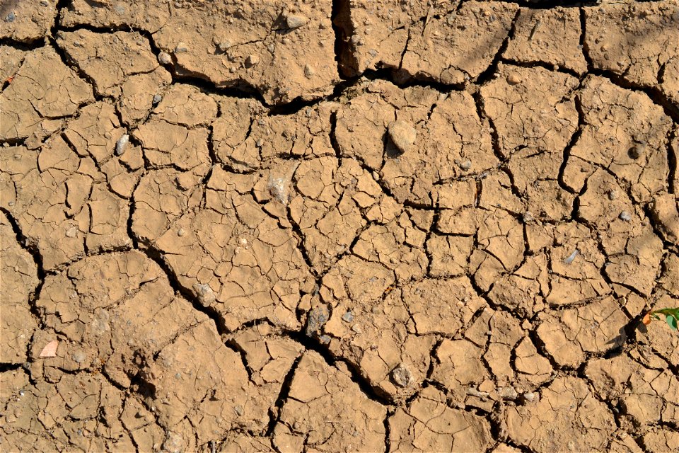 Free textures with cracks