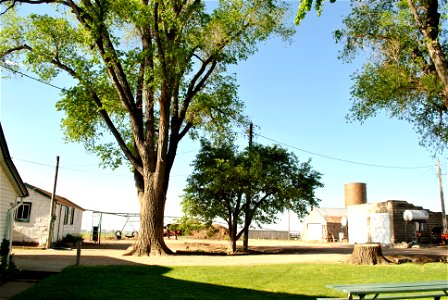 Colorado Farm 2022