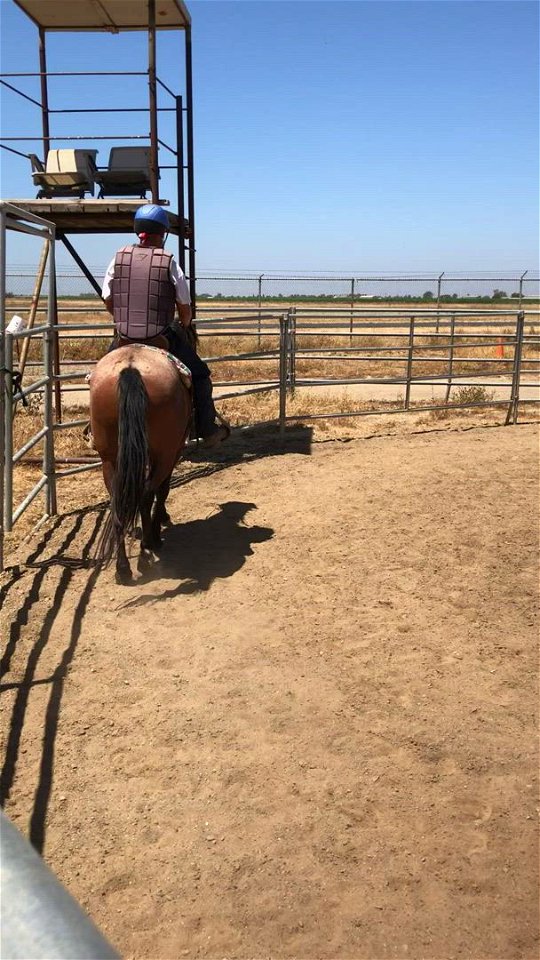Shasta round pen