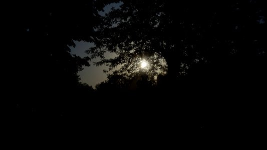 SfVineri_cemetery2021_0728_064023(2)