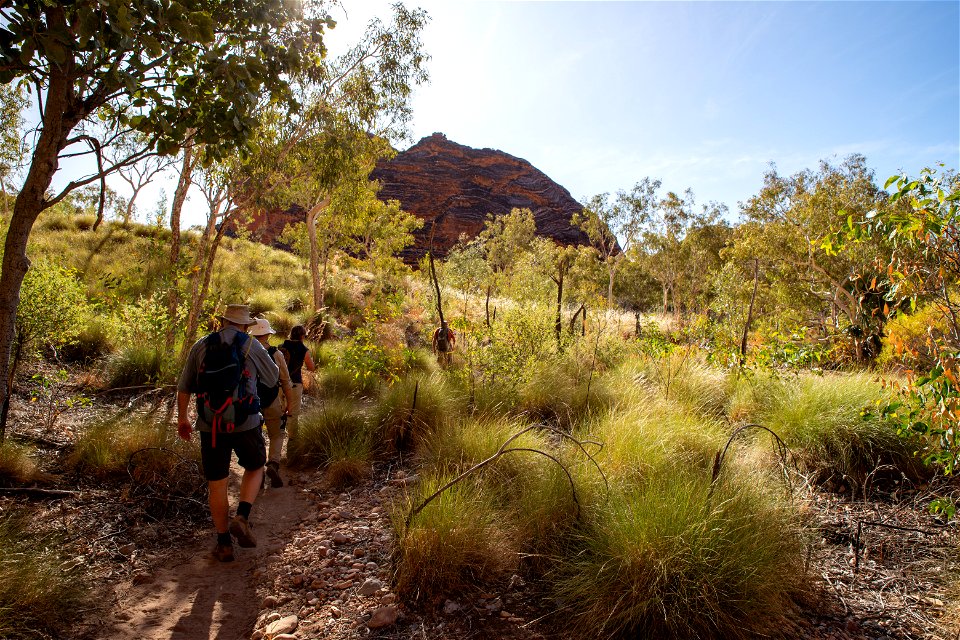 Walking back from Mini Palms Gorge
