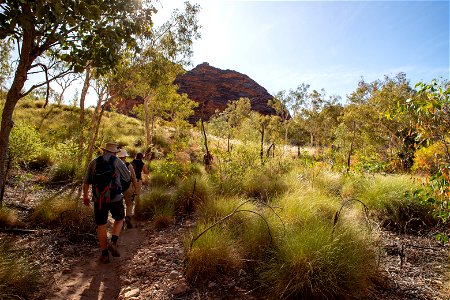 Walking back from Mini Palms Gorge
