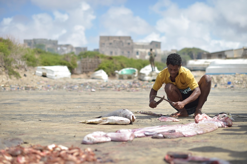 People water seashore