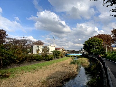 Kurome River in Koyama, Higashikurume-shi in November