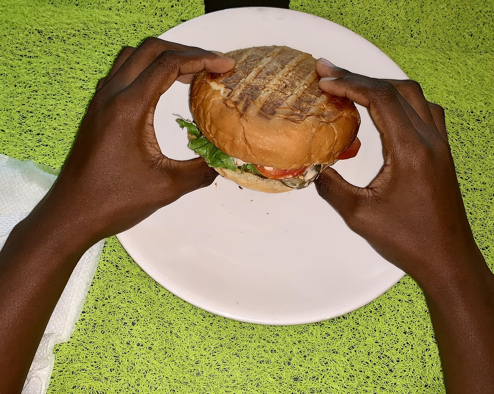 Taste burger nutrition