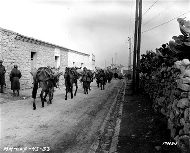 SC 170024 - Moroccan cavalry in the streets in North Africa. 18 February, 1943.