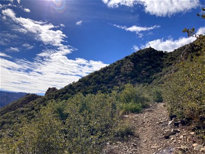 A.B. Young Trail photo