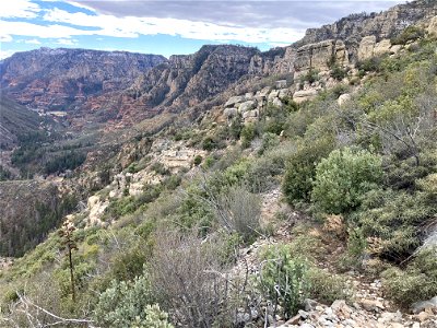 A.B. Young Trail photo