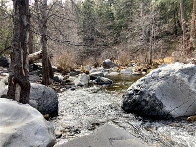 A.B. Young Trail photo