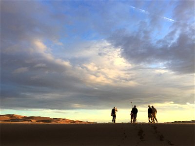 Winner: Milkvetch surveys photo