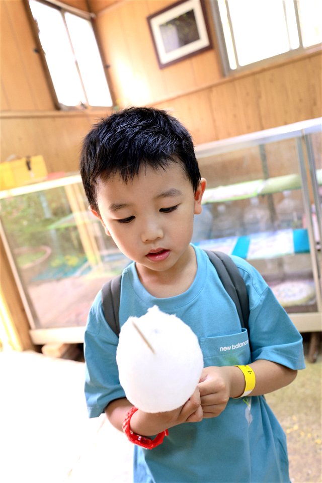 2023/6/4 Niceday森林祭親子生態觀察