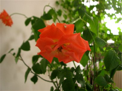 minitrandaf_fab2011_0302_132559