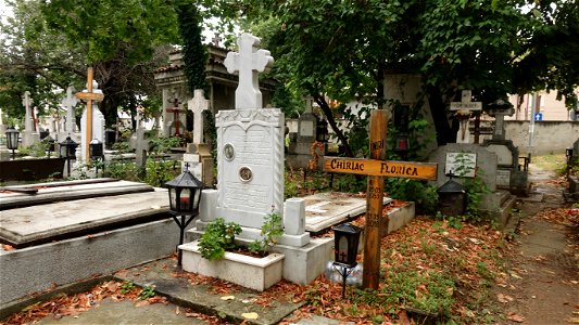 DSC06600