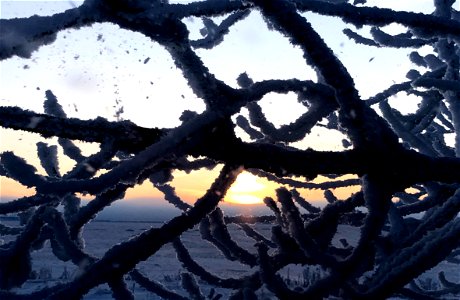Cradled Sun