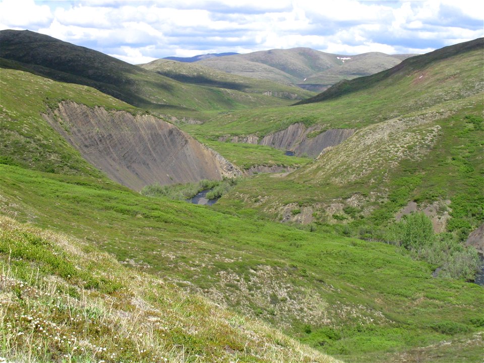 View during gyrfalcon survey photo