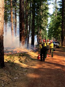RogueRiverSiskiyouMay1tWildlandFirefightersPrescribedBurnForestRoad