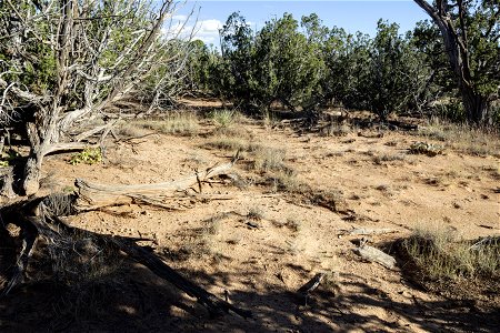 Near Grumble Gulch