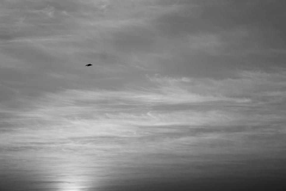 Clouds grey flying